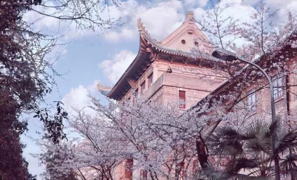 身高2米，武漢大學新生葛旭航火了，宿舍的床都是學校為他定製的