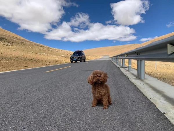 西藏是一個怎樣的心境？