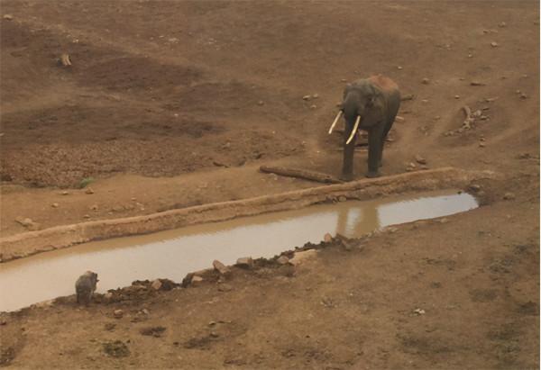 赤道幾內亞：一半天堂一半地獄