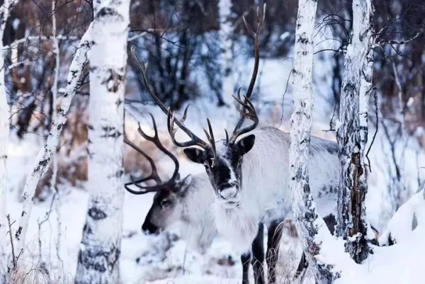 春節想要感受濃濃的年味 2022年春節小眾目的地