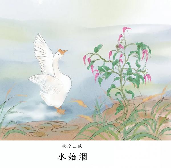 今日秋分 | 燥。全年最“燥”。喝個辛丑年的秋分湯