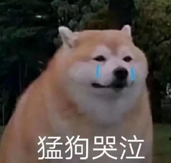 虧了3萬,誰來拯救我的中概互聯? 虧了3萬,誰來拯救我的中概互聯?