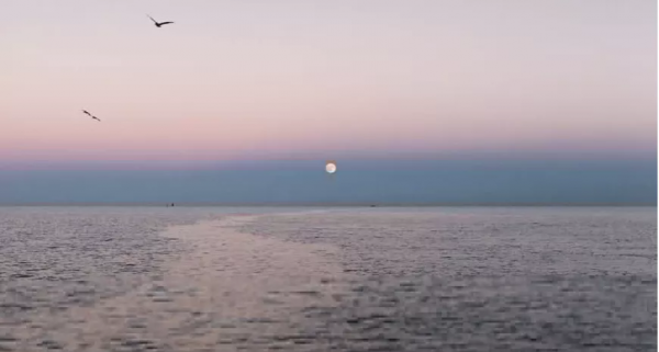 那些值得讓你摘抄下來的神仙句子...