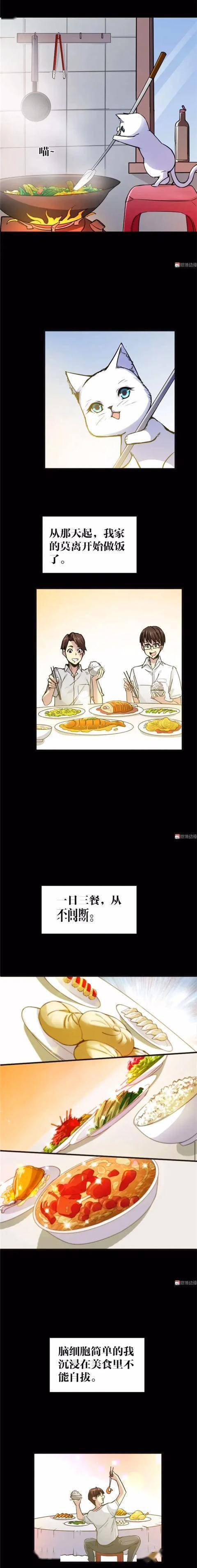漫畫｜人性篇：會做飯的網紅貓咪