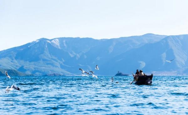 好訊息！雲南恢復跨省遊！你的詩和遠方可以安排了