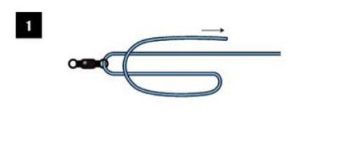 釣魚人必須知道的四種基礎線結綁法