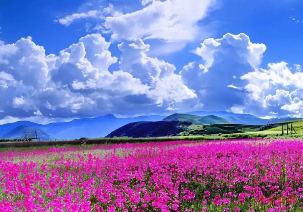 適合情侶旅行的12個旅行地,尋一個地方,和心愛的人,說走就走 適合情侶旅行的12個旅行地,尋一個地方,和心愛的人,說走就走