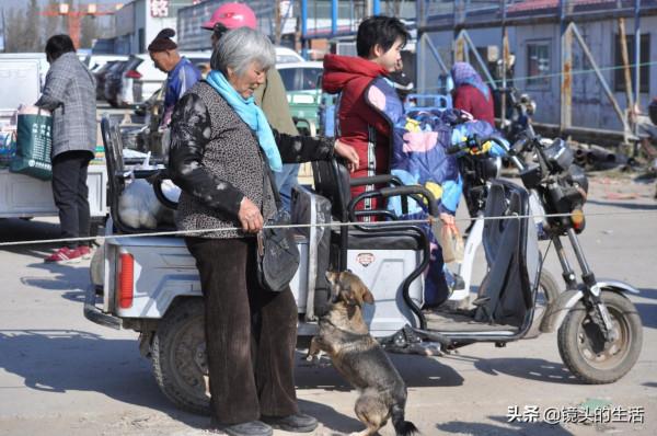 大娘從垃圾箱裡撿到“小野貨”,能辨別善與惡,老人:金山都不換 大娘從垃圾箱裡撿到“小野貨”,能辨別善與惡,老人:金山都不換