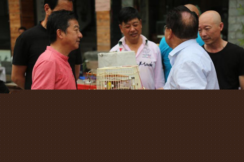 即將消失的中國養鳥文化:古代進貢皇家的繡眼鳥是暗綠還是紅肋? 即將消失的中國養鳥文化:古代進貢皇家的繡眼鳥是暗綠還是紅肋?