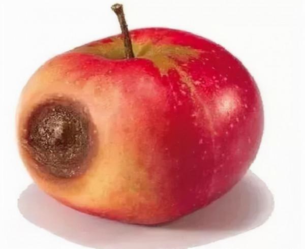 發黴的食物，去掉壞的部分就能吃嗎？聽聽醫生怎麼說