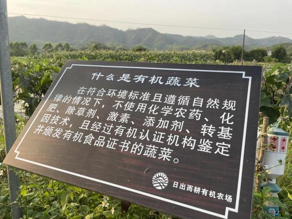 日出而耕有機農場冬季大豐收啦