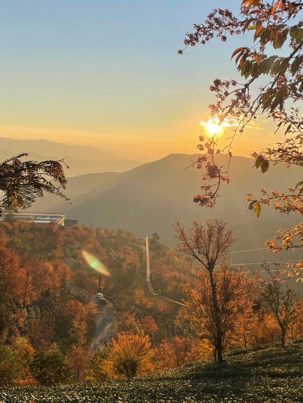 《12月限定丨國內旅行目的地指南》
