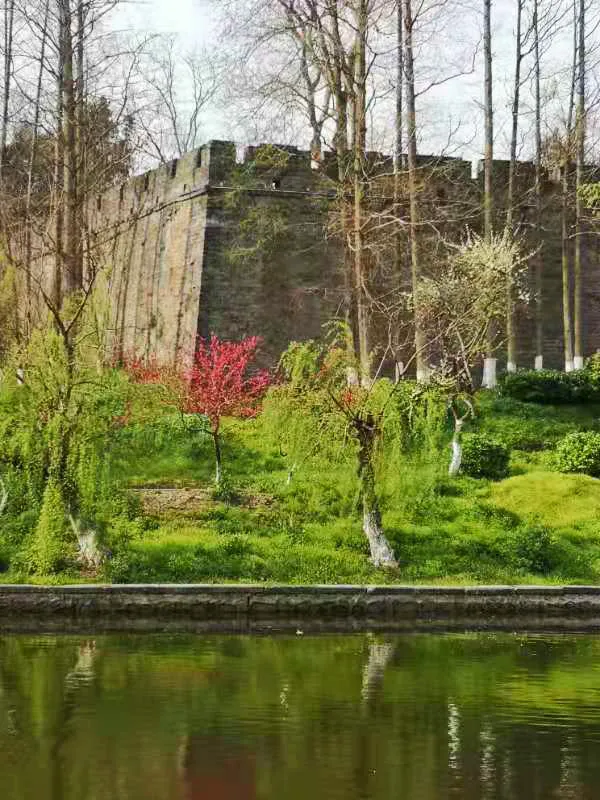 楚王（01）楚熊蚤：原名鬻熊，周文王的火師，楚國的創始奠基人