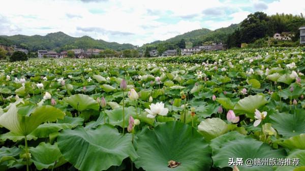 江西曾富甲一方的傳奇古村，裡面竟有48座祠堂，距今已有千年歷史
