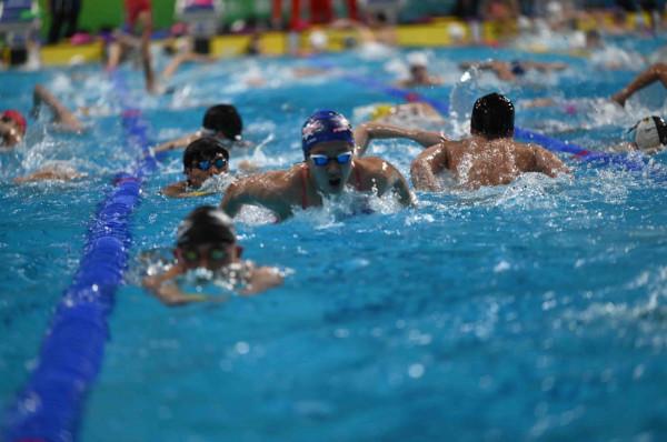 打卡陝西奧體中心遊泳館