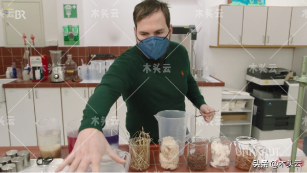 大麻造紙？為緩解木材短缺德國公司嘗試新路