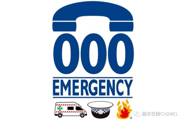 幾天前維州男子在家中被閃電擊中，幸好12歲小女兒機智救父