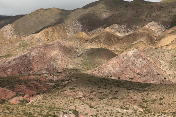 陝西竟然發現了恐龍足跡,是真的麼? 陝西竟然發現了恐龍足跡,是真的麼?