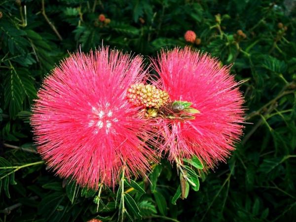 相處起來“舒服的人”，往往有這些特徵，你佔幾條