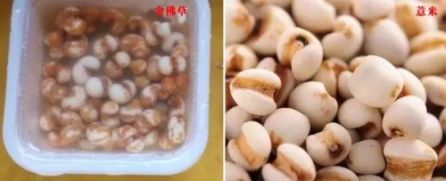 這些文玩您能認幾個