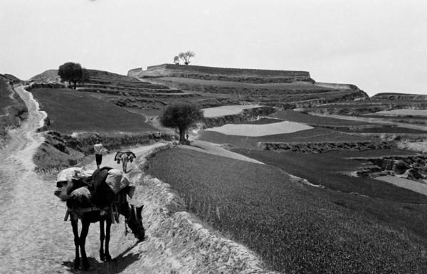 英軍誤把遠征軍當成日軍，遠征軍營長急智一招化解誤會