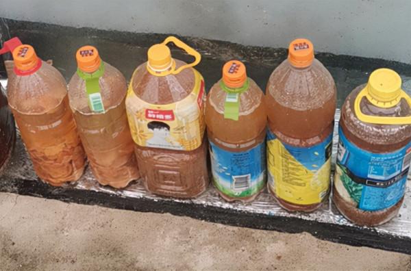 桔子皮這樣用,不但花草長得旺盛,而且還能減少病蟲害的發生 桔子皮這樣用,不但花草長得旺盛,而且還能減少病蟲害的發生