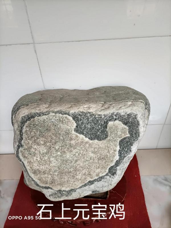 玩石六年的收穫 玩石六年的收穫