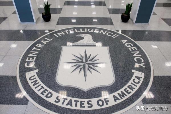 “不祥之鳥”導演的絕密行動：2000萬美元與幾家歡喜幾家愁