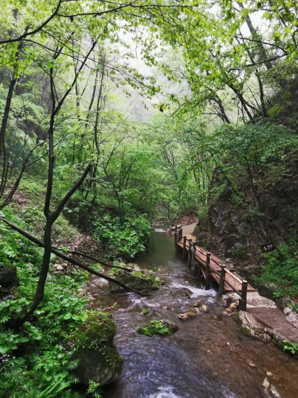 雨中游洛陽重渡溝