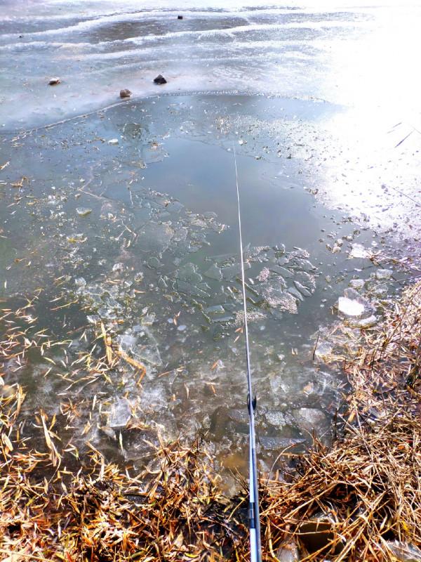 氣溫零下破冰垂釣,雙尾收杆漁獲爆盆 氣溫零下破冰垂釣,雙尾收杆漁獲爆盆