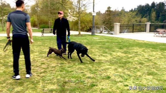 亞洲十大美男今昔顏值對比，有人優雅老去有人中年顏垮，差距真大