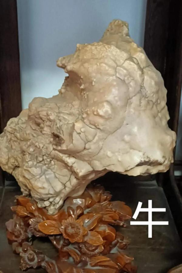 沙漠漆十二屬相 沙漠漆十二屬相