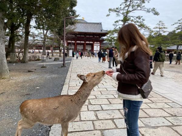 再見2021 | 你還記得,最後一次肆意旅行是什麼時候嗎? 再見2021 | 你還記得,最後一次肆意旅行是什麼時候嗎?