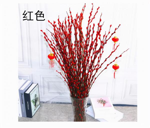 4種“神奇”的枝條，遇水就能開花，顏值高，寓意好