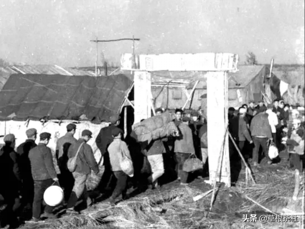 知青歲月：在北大荒第一次走跳板摔傷胳膊，他因禍得福收穫愛情