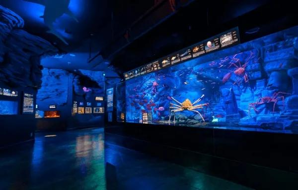 童年玩的《大富翁》，居然成真了