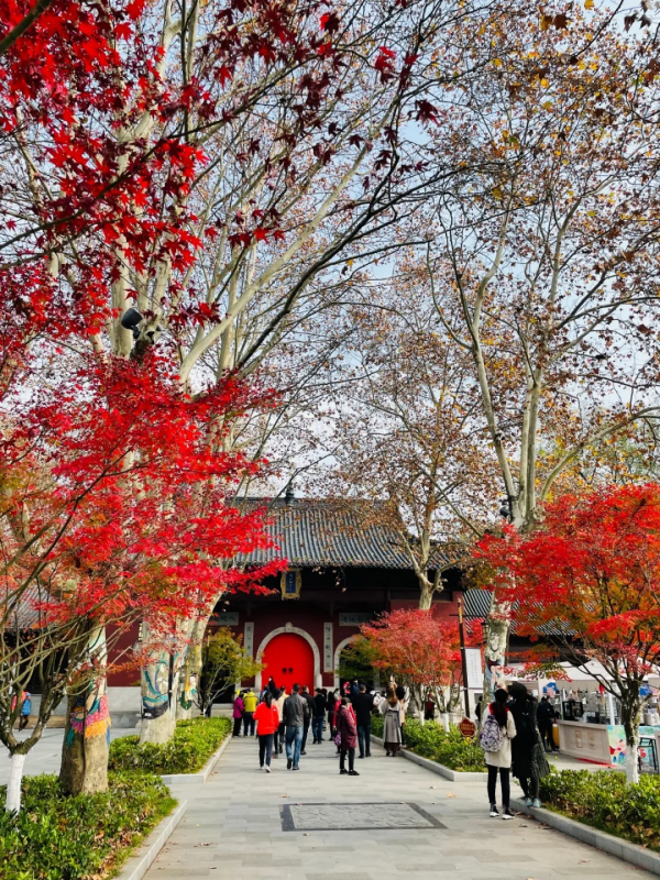 《12月限定丨國內旅行目的地指南》