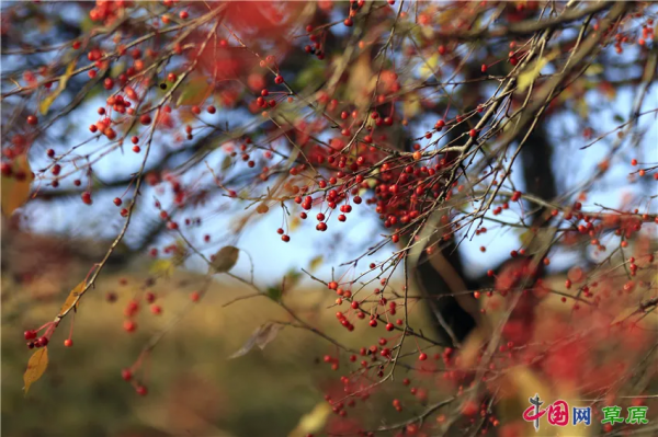 在怪山體驗,秋天的正確開啟方式 在怪山體驗,秋天的正確開啟方式