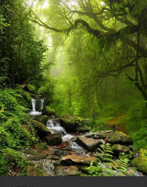 活著 如此不容易