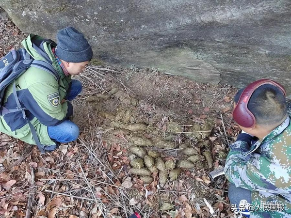 新春走基層 &vert; 他們，守護著&OpenCurlyDoubleQuote;野生&rdquo;冰墩墩
