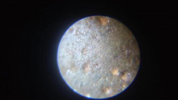 渤海灣隕石坑是怎樣形成的後續