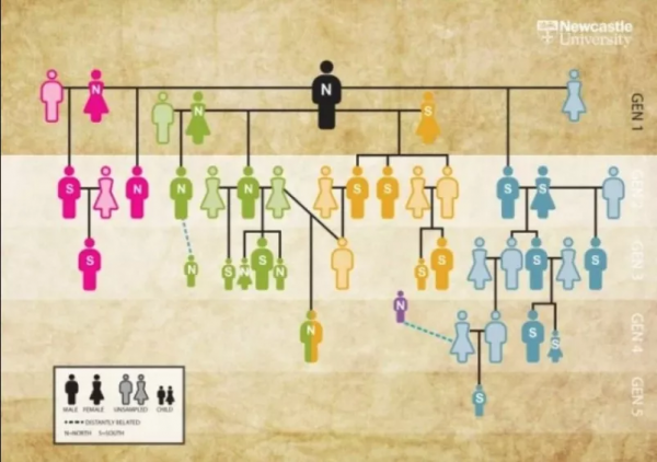 5700年前的家譜出爐，科學家揭示史前大家庭的基本結構