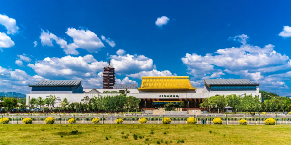 同行八載，中國園林博物館與我們共度春秋