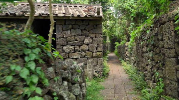 65歲的他三個月收入三萬，他是怎麼做到的