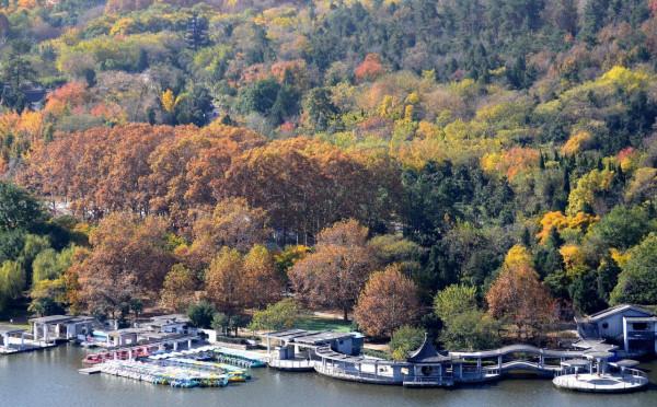 小雪日是誰打翻了大自然的調色盤讓張公湖初冬如此動人