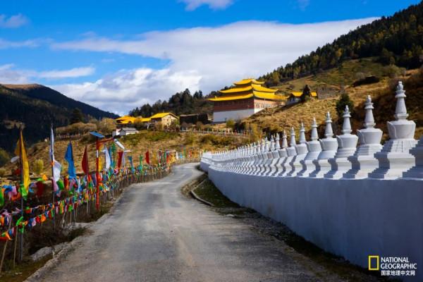 怒放的木裡，美到不真實