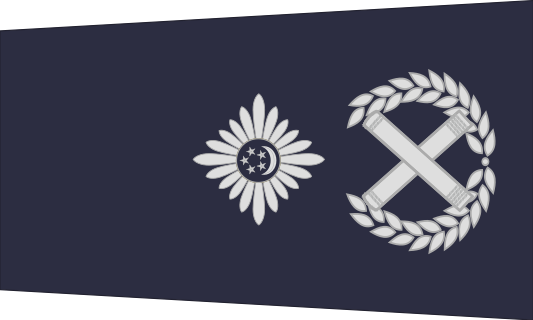 新加坡警銜標識