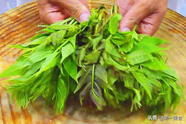 今日雨水，有錢沒錢，6種&OpenCurlyDoubleQuote;養陽菜&rdquo;吃起來，應季而食精神迎春天