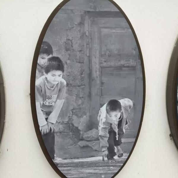 中國淡水魚都――菱湖