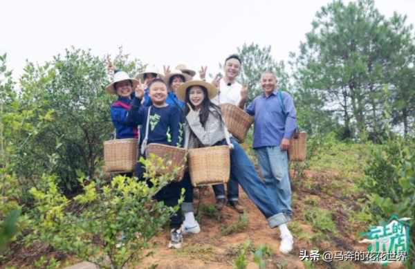 從奧運冠軍到“全民偶像”，芒果臺用最少的錢，請來最牛的明星